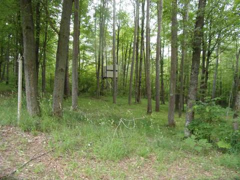 811 Peasley, Harrison, MI 48625 photo 17
