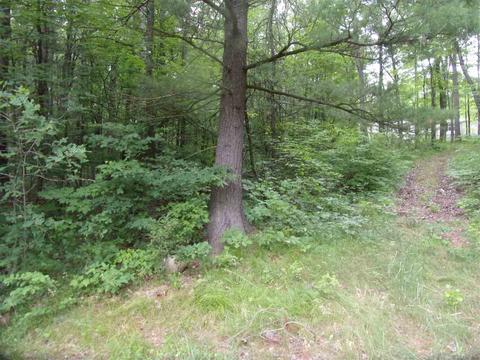 811 Peasley, Harrison, MI 48625 photo 22