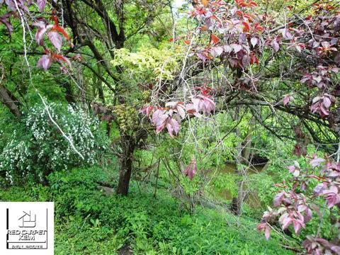 7277 Lapeer Rd, Davison, MI 48423 photo 32