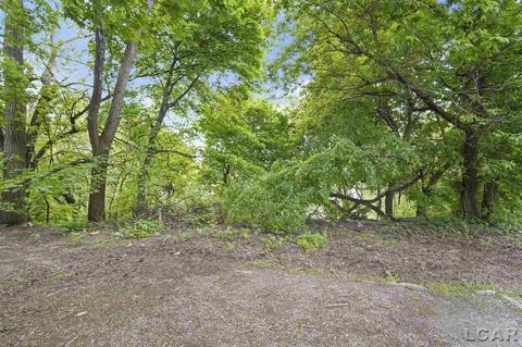 234 S Winter St, Adrian, MI 49221 photo 6