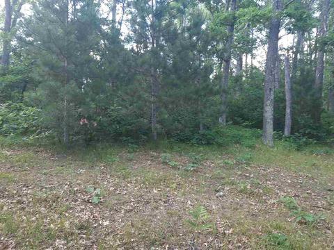 608 Burns, Harrison, MI 48625 photo 20