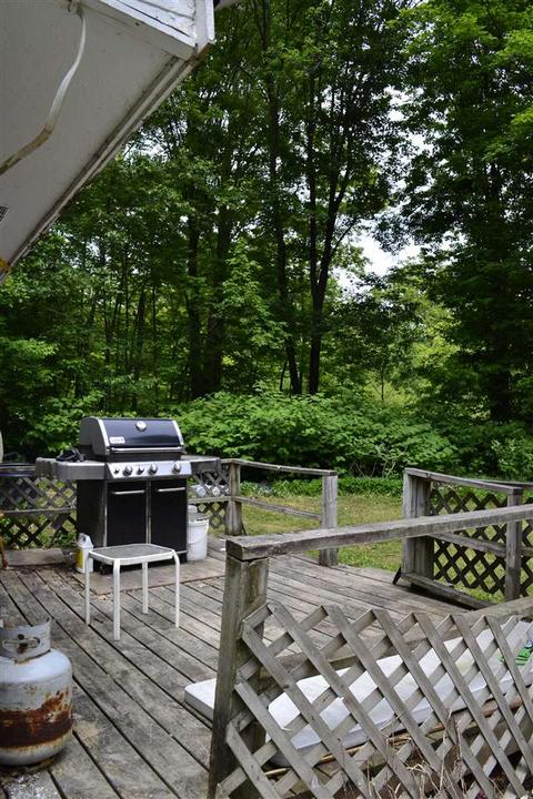 4431 E Monroe Rd, Harrison, MI 48625 photo 9