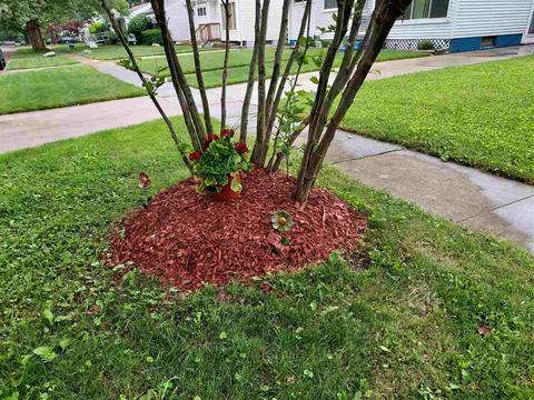 3821 Delaware, Flint, MI 48506 photo 5