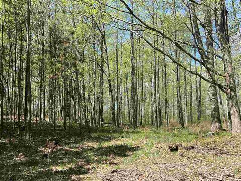 40 Acres E Stockwell, Harrison, MI 48625