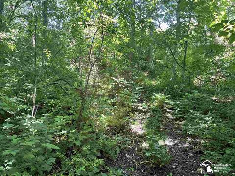 5150 Hunt Rd, Adrian, MI 49221 photo 42