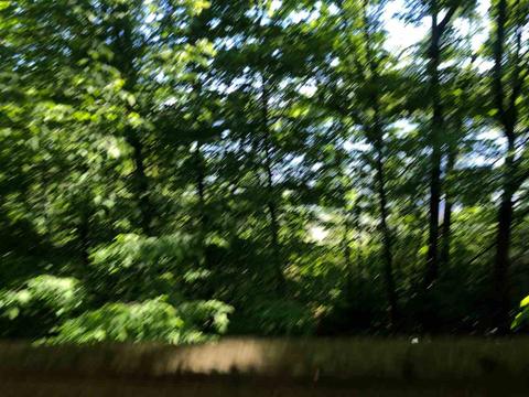 3278 Lakeshore Ln, Gladwin, MI 48624 photo 24