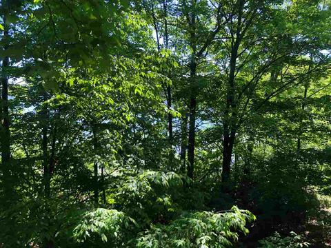 3278 Lakeshore Ln, Gladwin, MI 48624 photo 25