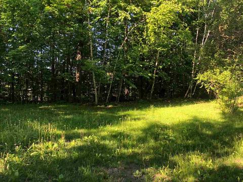 3278 Lakeshore Ln, Gladwin, MI 48624 photo 32
