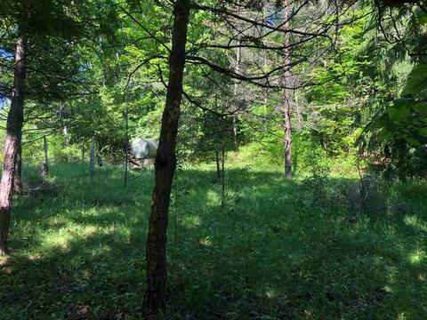 3278 Lakeshore Ln, Gladwin, MI 48624 photo 28