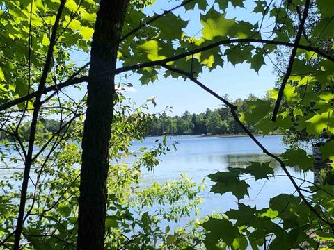 3278 Lakeshore Ln, Gladwin, MI 48624 photo 2