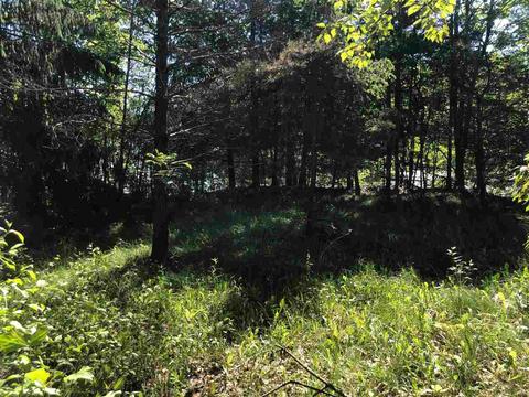3278 Lakeshore Ln, Gladwin, MI 48624 photo 27