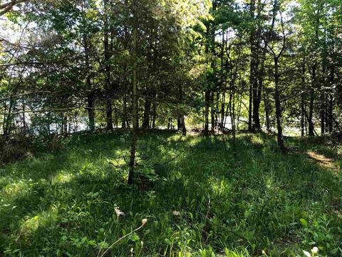 3278 Lakeshore Ln, Gladwin, MI 48624 photo 30