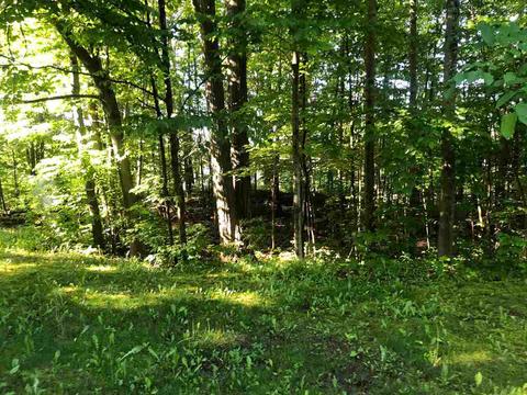 3278 Lakeshore Ln, Gladwin, MI 48624 photo 36