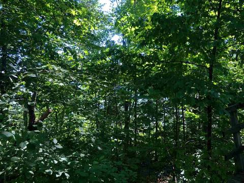 3278 Lakeshore Ln, Gladwin, MI 48624 photo 29