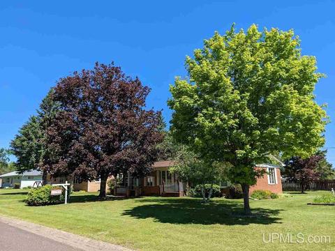 21 Tamarack, White Pine, MI 49971 photo 27