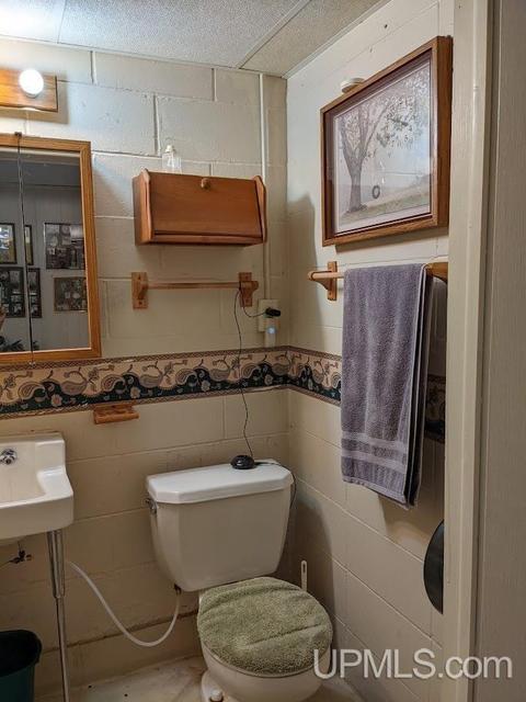 21 Tamarack, White Pine, MI 49971 photo 18