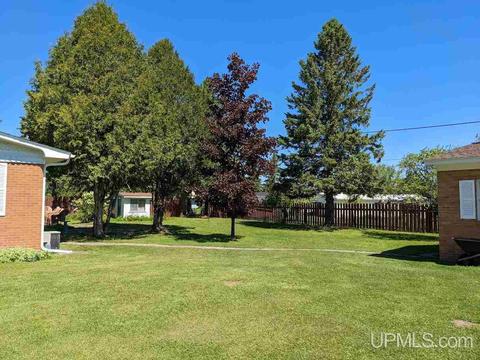 21 Tamarack, White Pine, MI 49971 photo 23
