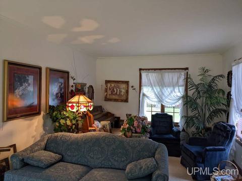 21 Tamarack, White Pine, MI 49971 photo 10