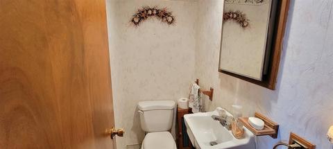 615 Au Gres River Dr, Au Gres, MI 48703 photo 18