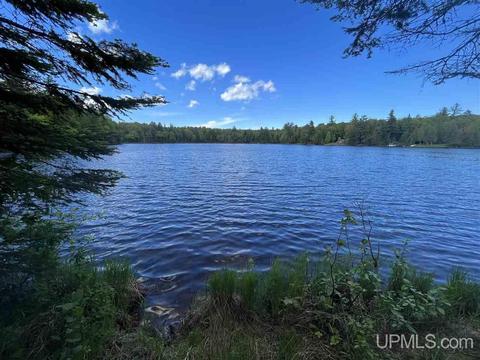 Tbd Lake Forest, Gwinn, MI 49841