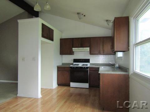 3768 Osburn Dr, Tecumseh, MI 49286 photo 4