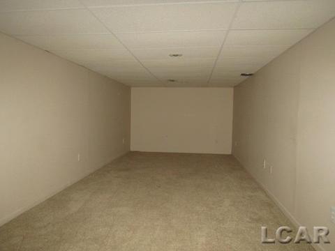 3768 Osburn Dr, Tecumseh, MI 49286 photo 10