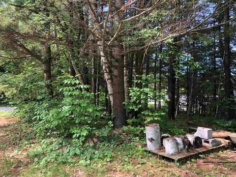 257 Betty Ln, Gladwin, MI 48624 photo 37