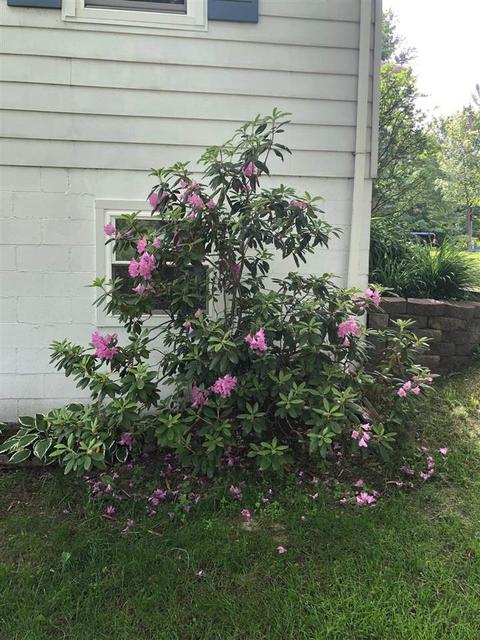 257 Betty Ln, Gladwin, MI 48624 photo 5