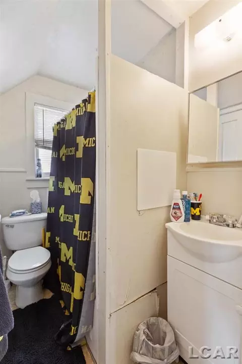 903 E Hunt, Adrian, MI 49221 photo 25