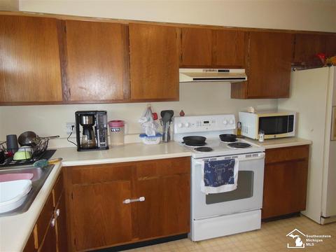 8813 8821 Sams Dr, Maybee, MI 48159 photo 23