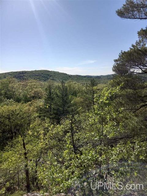 Tbd Aaa, Big Bay, MI 49808
