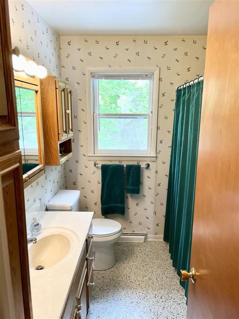 4224 E Beaverton, Clare, MI 48617 photo 16