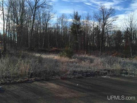 810 South, Hancock, MI 49930