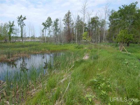 9034 Ll, Rapid River, MI 49878 photo 7