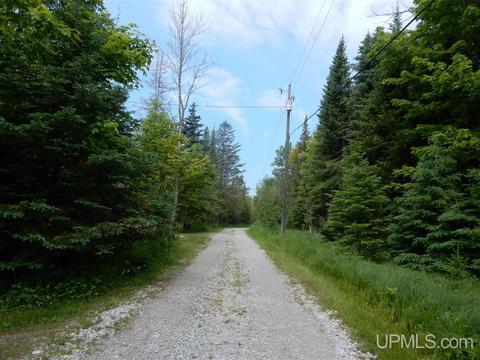 9034 Ll, Rapid River, MI 49878 photo 27