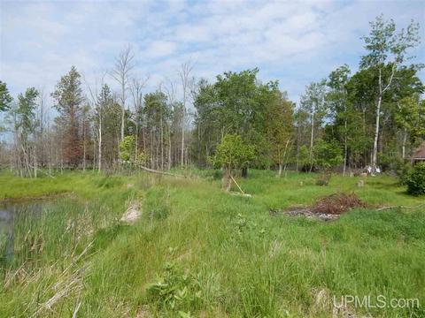 9034 Ll, Rapid River, MI 49878 photo 10