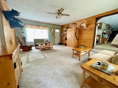 1122 E M 61, Gladwin, MI 48624 photo 13