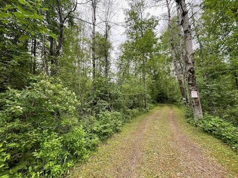 1122 E M 61, Gladwin, MI 48624 photo 58