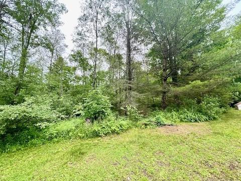1122 E M 61, Gladwin, MI 48624 photo 57