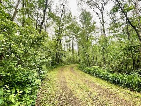1122 E M 61, Gladwin, MI 48624 photo 6