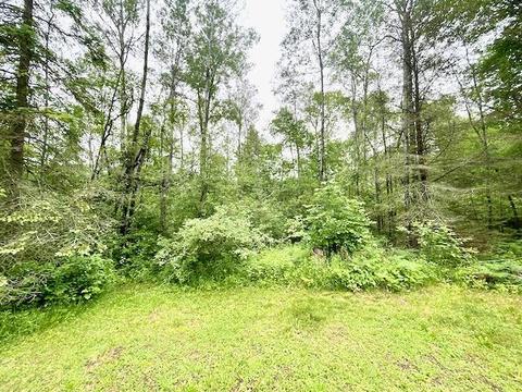 1122 E M 61, Gladwin, MI 48624 photo 8