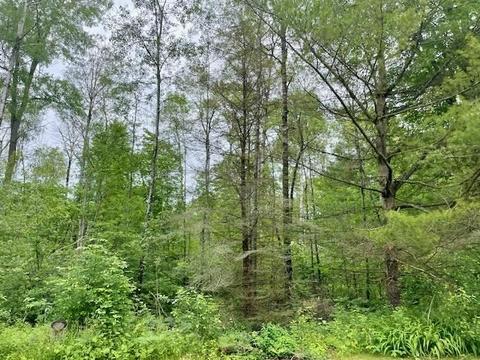 1122 E M 61, Gladwin, MI 48624 photo 3