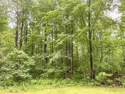 1122 E M 61, Gladwin, MI 48624 photo 7