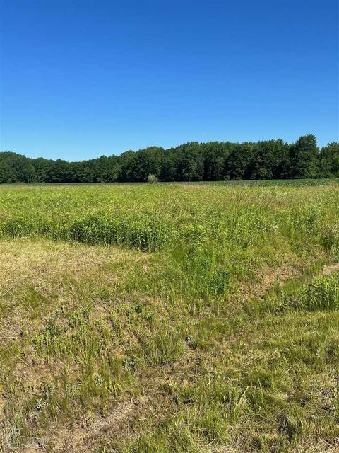 00 Duce, Avoca, MI 48006 photo 2