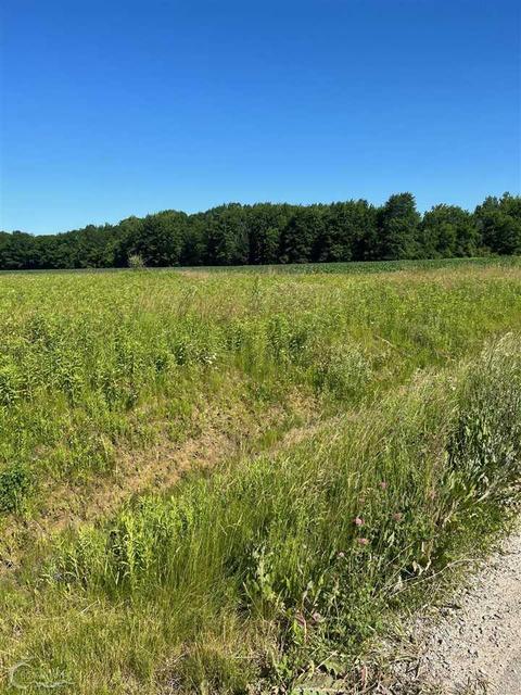 00 Duce, Avoca, MI 48006 photo 4