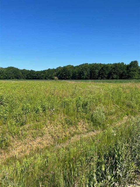00 Duce, Avoca, MI 48006 photo 3