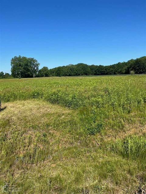 00 Duce, Avoca, MI 48006