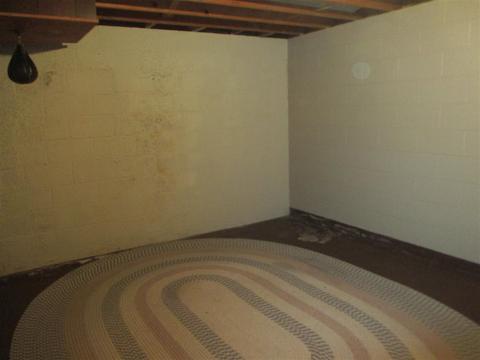 617 Winters Eave Dr, Flushing, MI 48433 photo 22