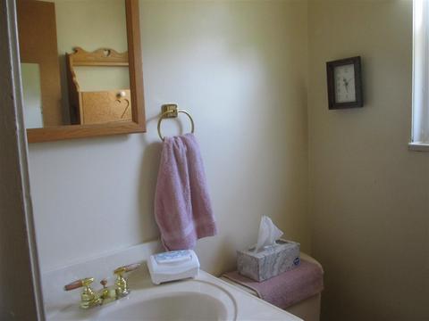 617 Winters Eave Dr, Flushing, MI 48433 photo 14