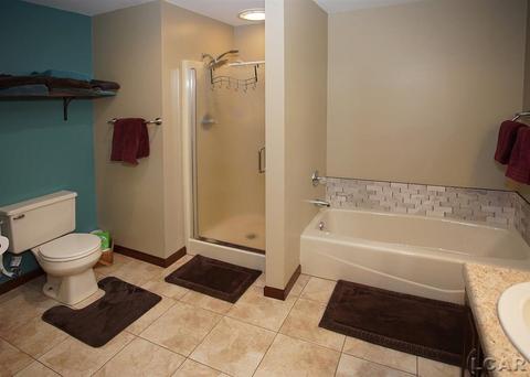 690 Stoneridge, Adrian, MI 49221 photo 41